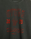 University of HTOWN 2025 Champions Vintage-Wash Tee (Charcoal/Red)