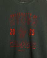 University of HTOWN 2025 Champions Vintage-Wash Tee (Charcoal/Red)
