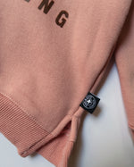 Houston is Everything Toddler Teddy Hoodie (Pink/Brown)